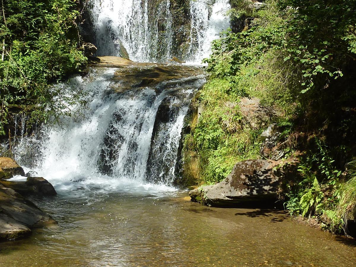 Urlaub Am Bauernhof Gaenser Sankt Peter am Kammersberg Ngoại thất bức ảnh